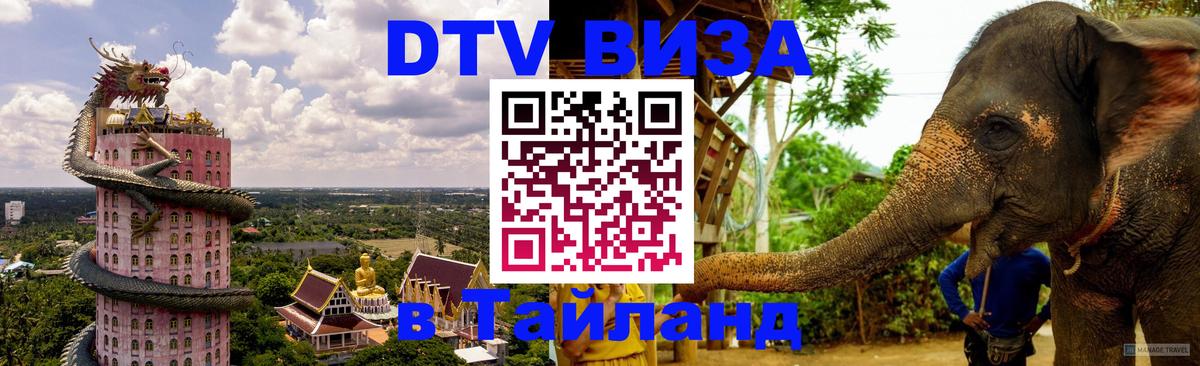 Оформление DTV визы под ключ: стоимость и тарифы, только загранпаспорт - Мытищи  06.12.2025 